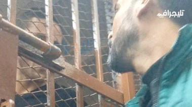 اللاعب رمضان صبحي في القفص