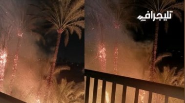 حريق فى أشجار نخيل