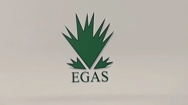 الشركة المصرية القابضة للغازات الطبيعية (إيجاس)