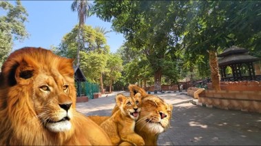  تغيير اسم حديقة الحيوان