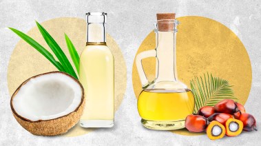 الخروع أم جوز الهند