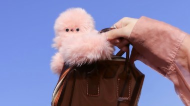 دمية ميرومي