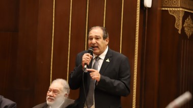 النائب حسام الخولي