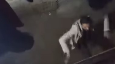 جانب من الفيديو 