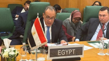 وزير الخارجية والهجرة، الدكتور  بدر عبد العاطي