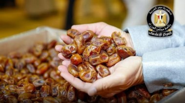المركز الإعلامي لمجلس الوزراء ينفى استيراد التمور من إسرائيل