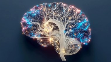 لما يحدث داخل الدماغ عندما تحرم من النوم؟