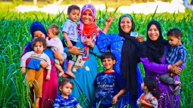 استعلام بالرقم القومي تكافل وكرامة 2026