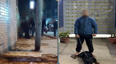 المتهم والكلب