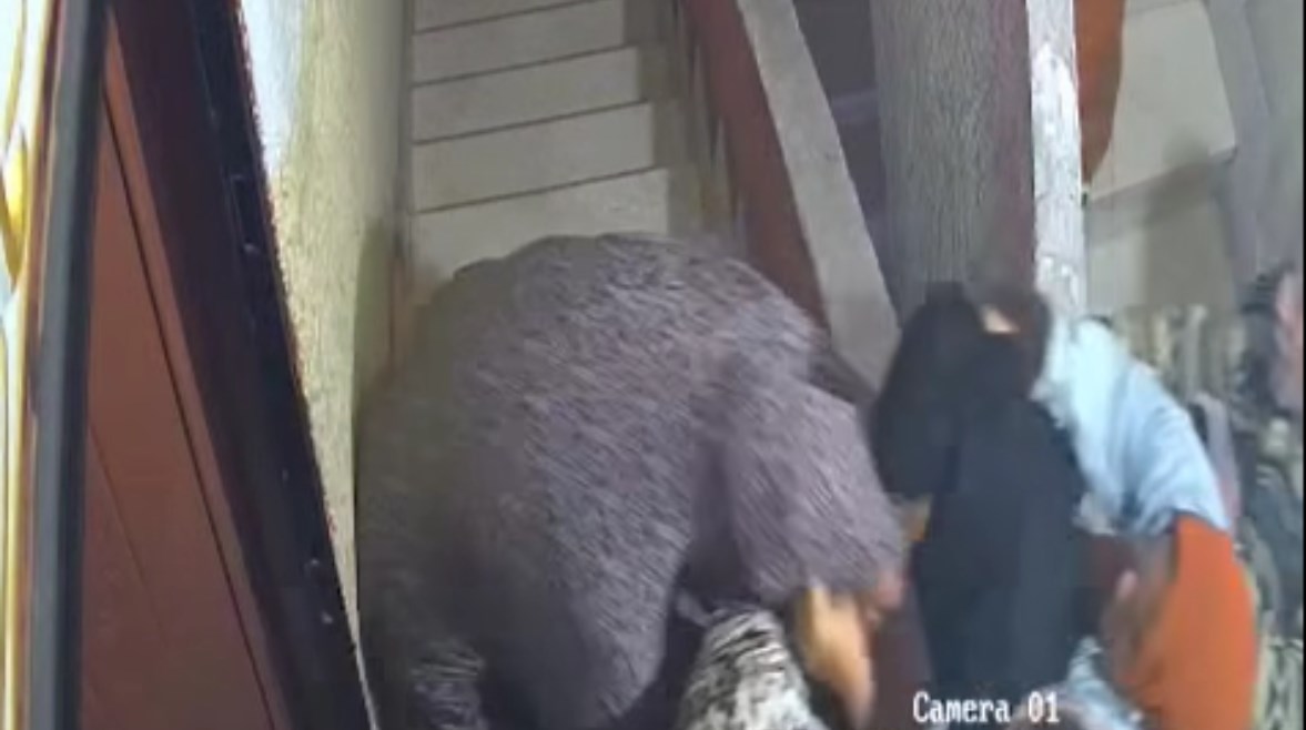 صورة من الفيديو المنتشر