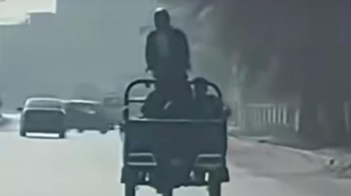 لقطة من الفيديو 