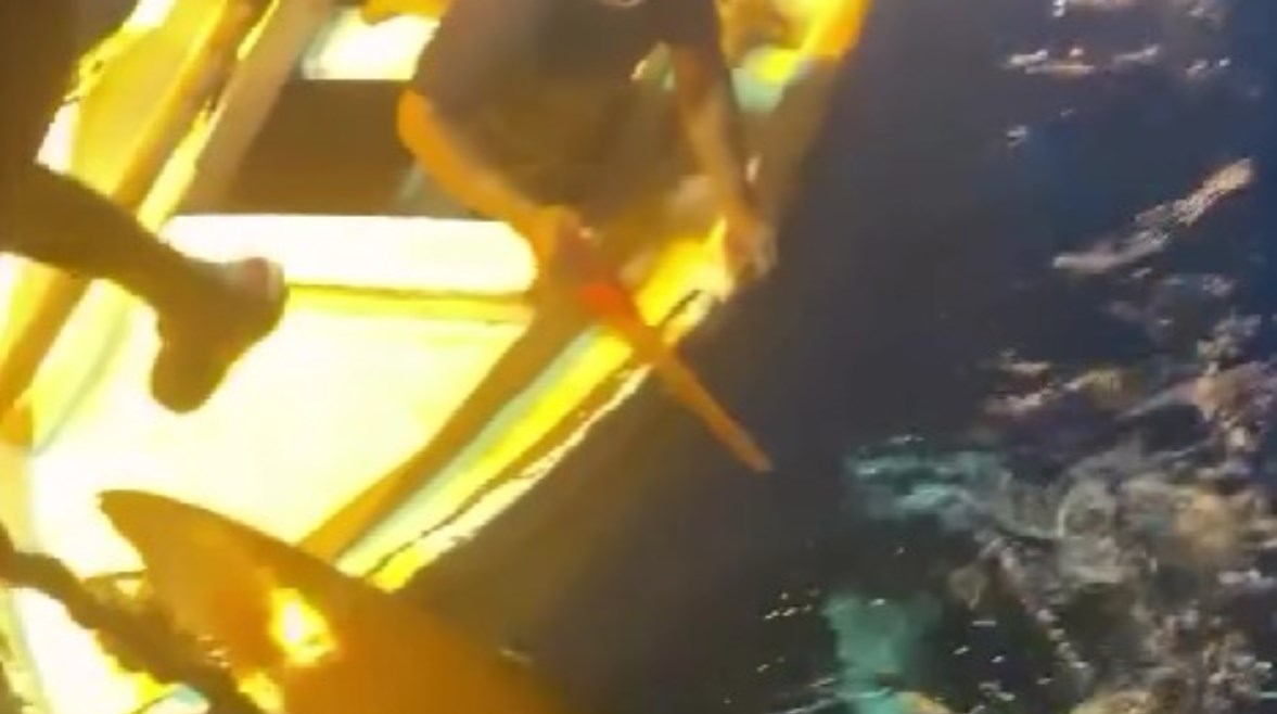 صورة من الحدث 