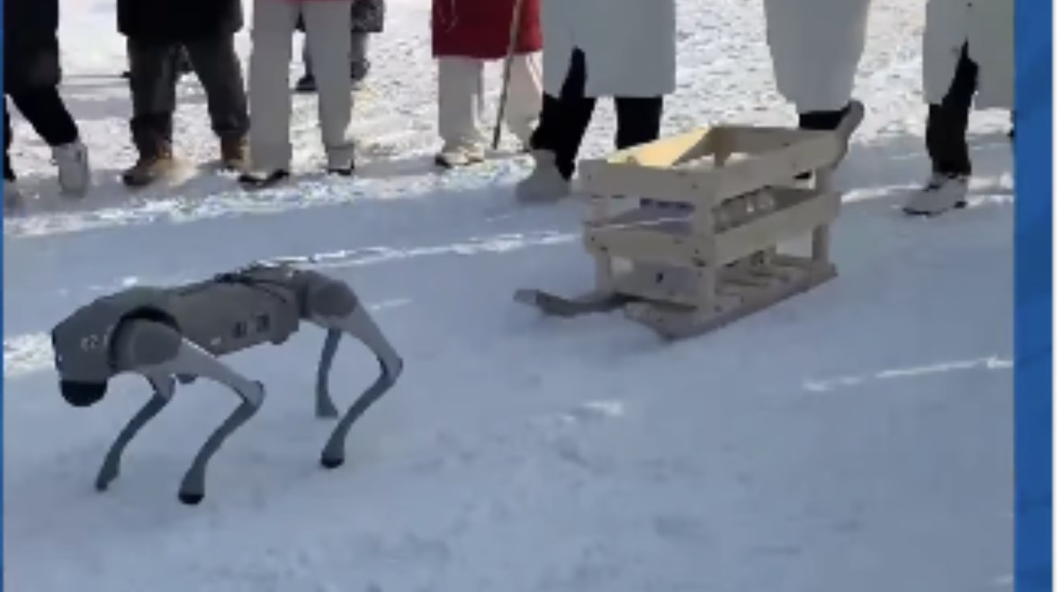 روبوت على الجليد