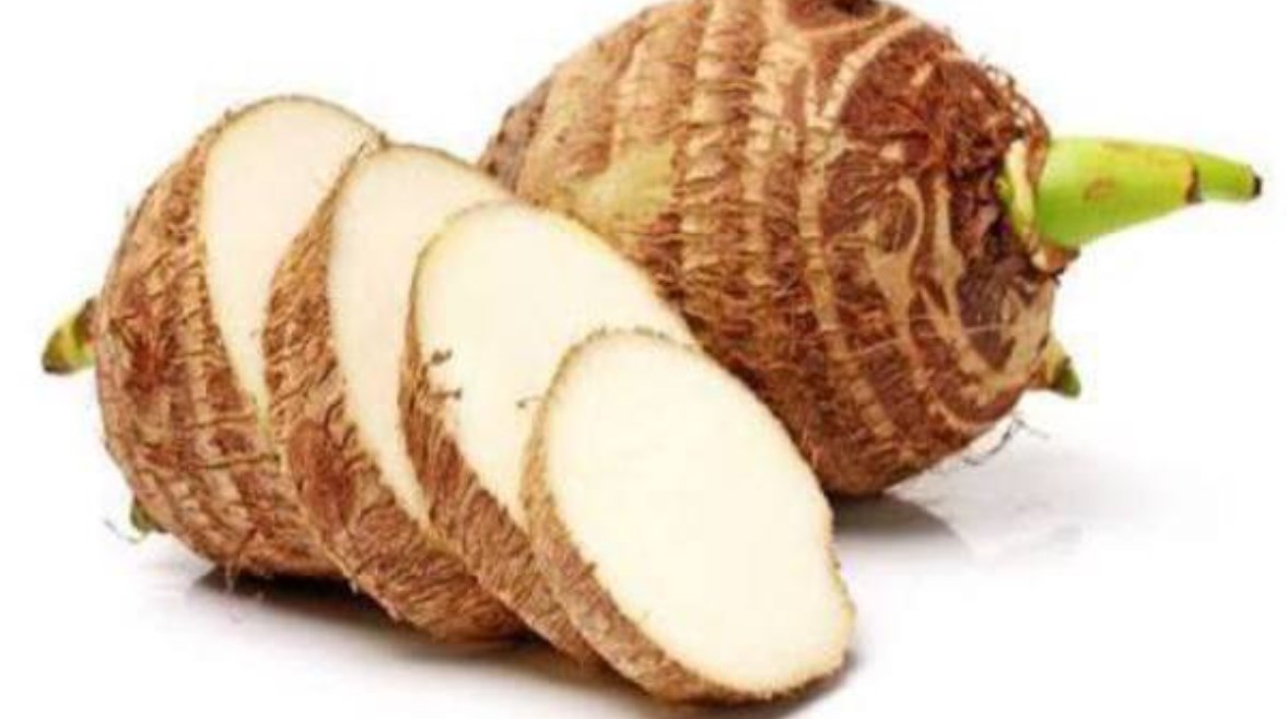 نبات القلقاس