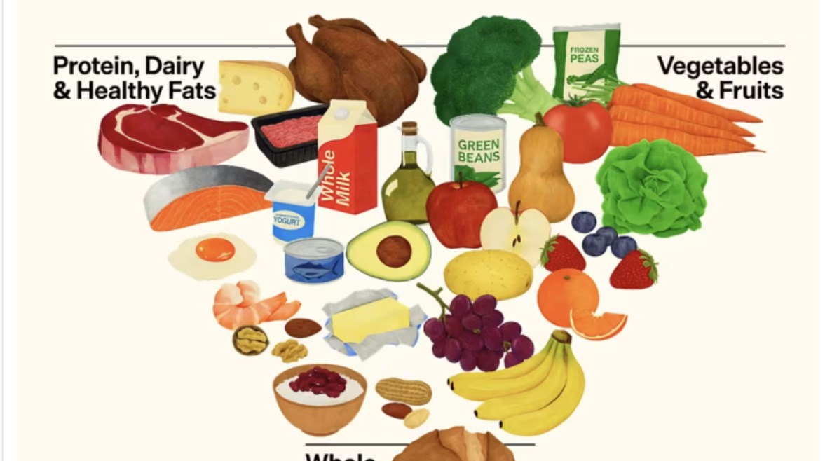 الهرم الغذائي الأمريكي الجديد