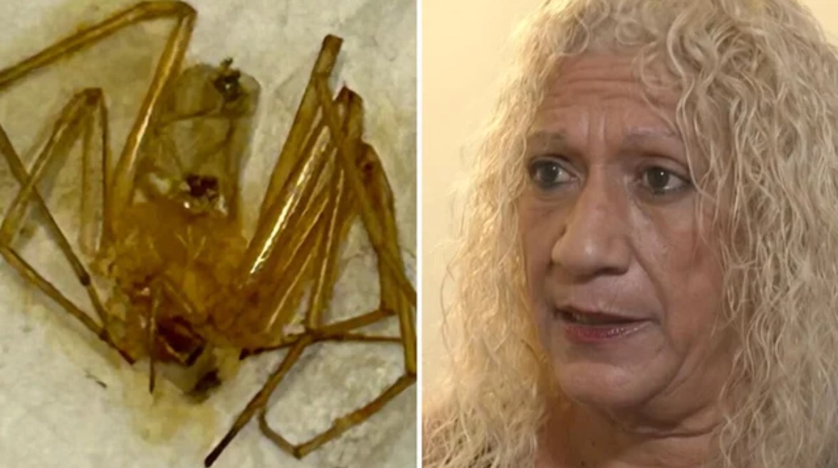  المرأة الفلوريدية، باتريشيا شيلدز