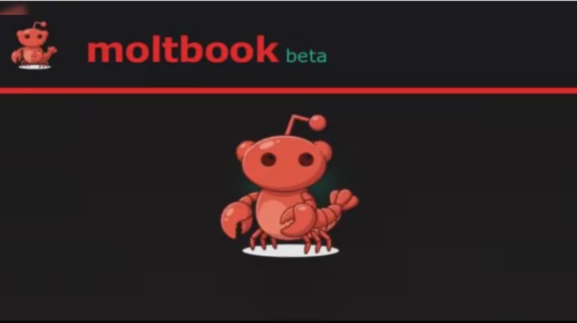  تطبيق مولتبوك