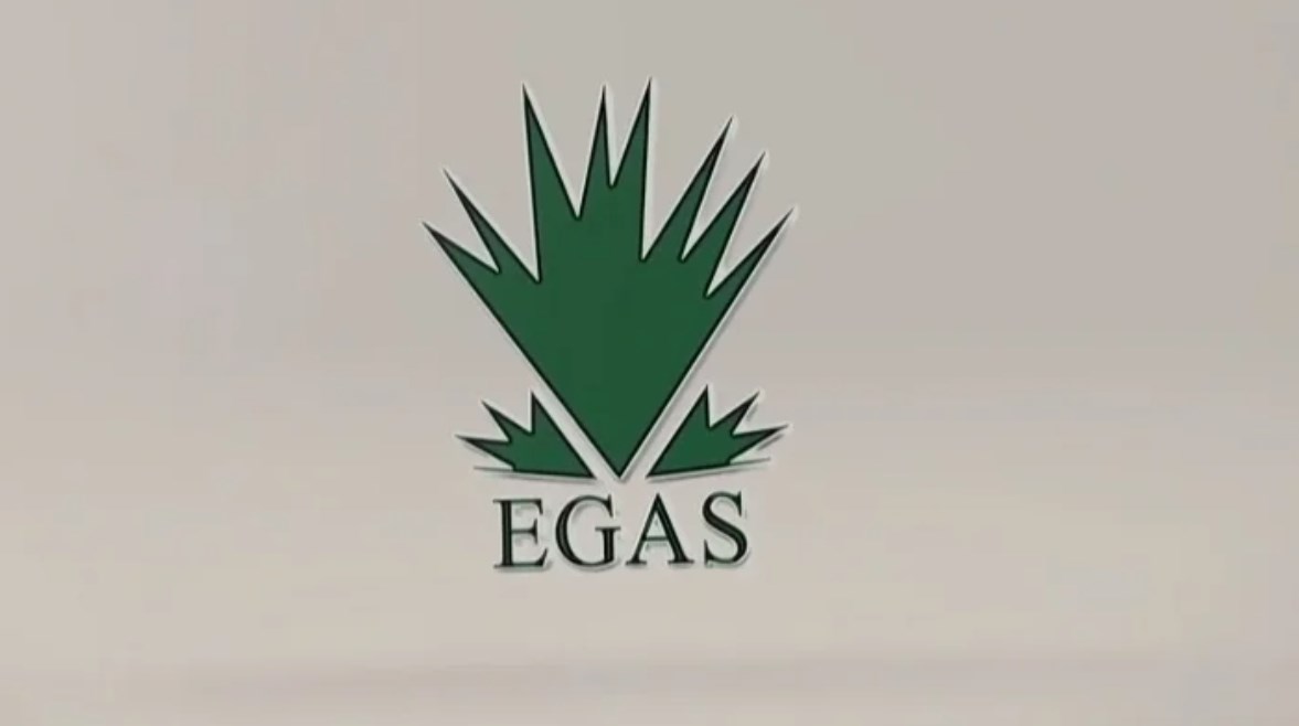 الشركة المصرية القابضة للغازات الطبيعية (إيجاس)