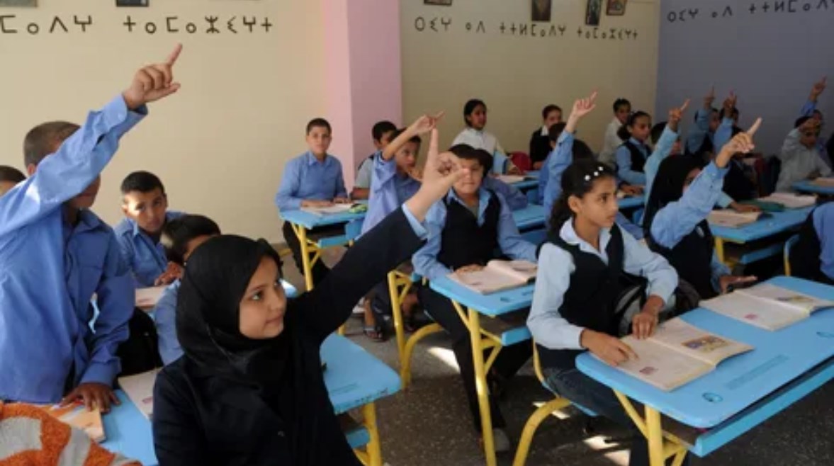 نماذج الوزارة الاسترشادية للصف الثالث الإعدادي 2026