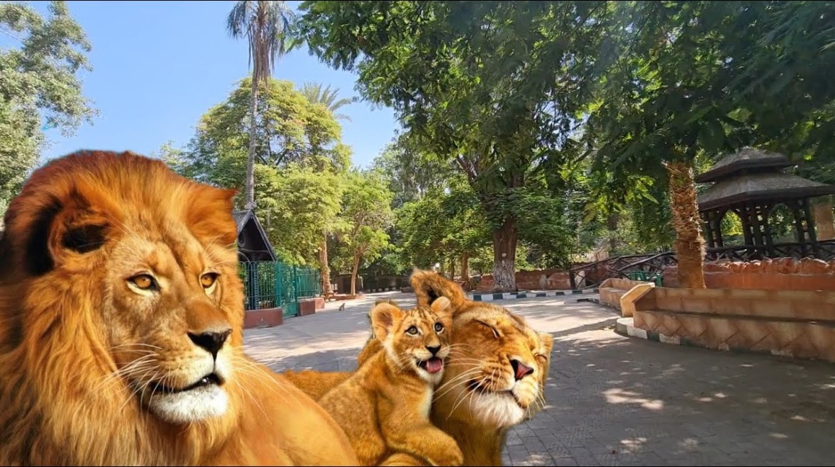  تغيير اسم حديقة الحيوان