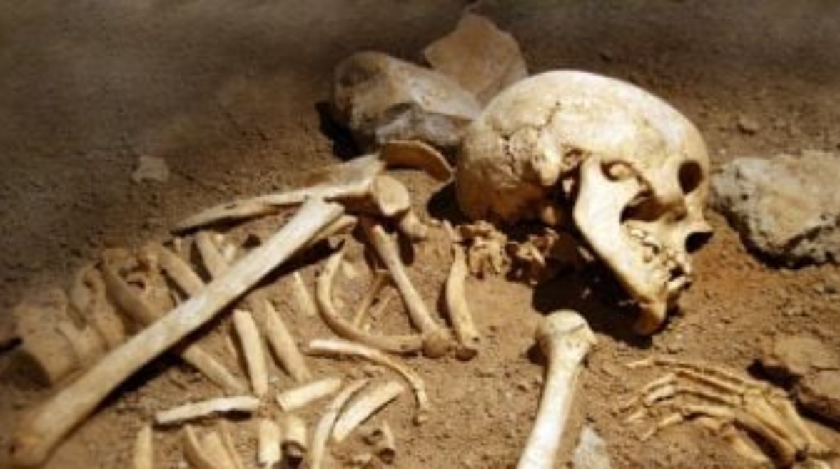 جثة مستأجر طنطا المتحللة 