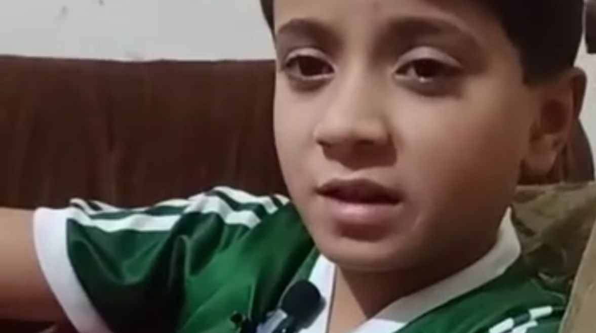 بعد وفاة مُسن وإصابة قس.. كلب ضال يعقر طفلًا ويُنهي جزءًا من ذراعه ببورسعيد