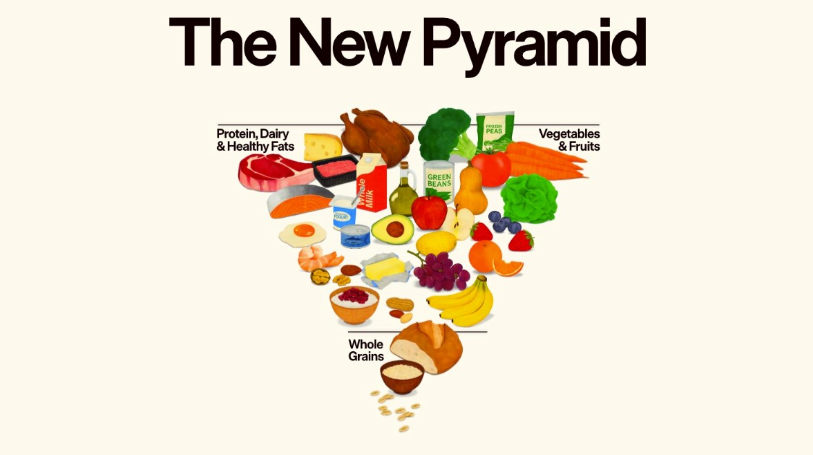 النمثيل الغذائي الجديد