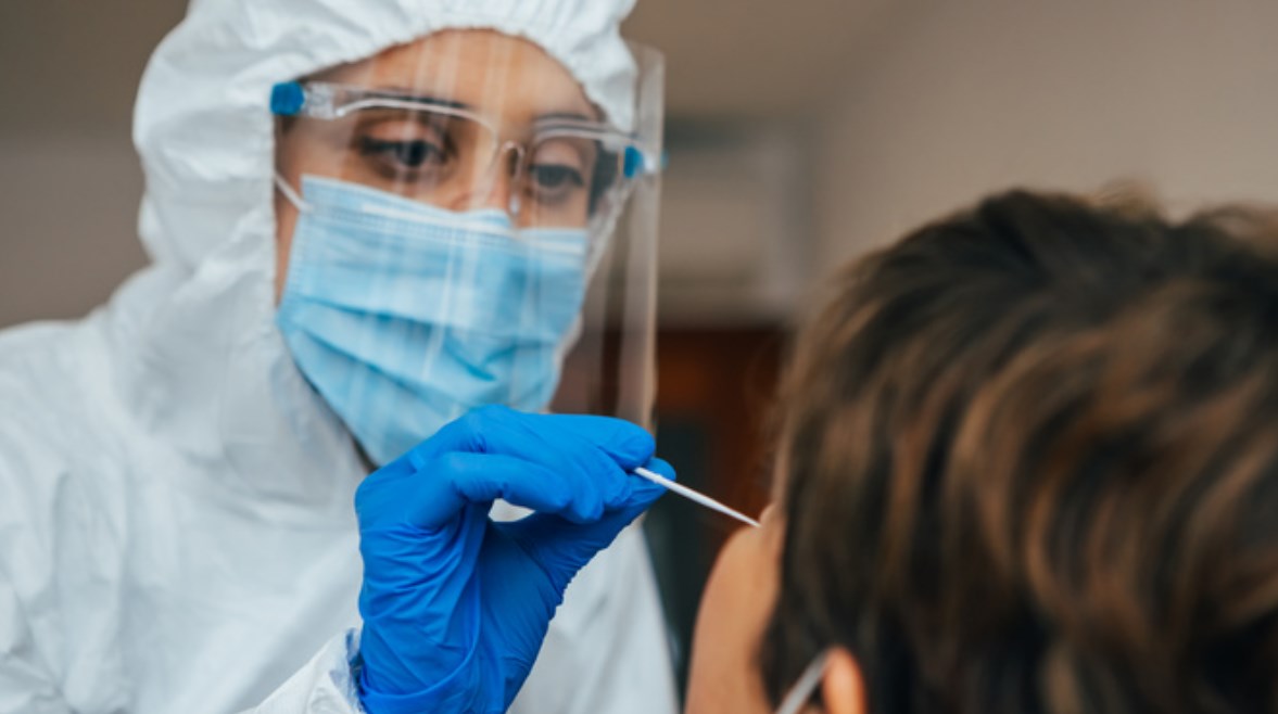 كورونا الكلاب- تعبيرية