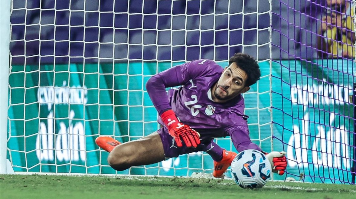 مصطفى شوبير 