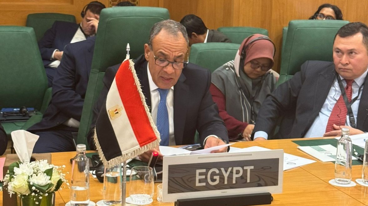 وزير الخارجية والهجرة، الدكتور  بدر عبد العاطي