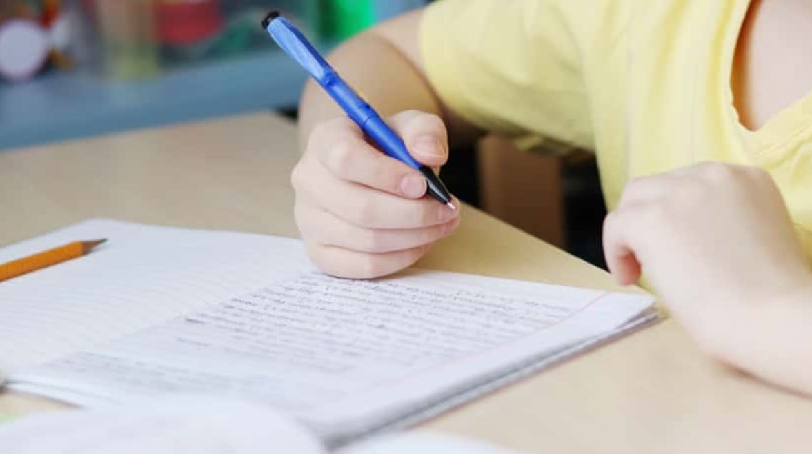 الاستعلام عن نتيجة الصف الخامس الابتدائي بالرقم القومي الترم الأول 2026