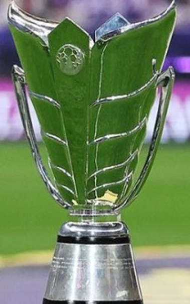 كأس آسيا 2027