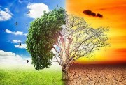 درس التغيرات المناخية 