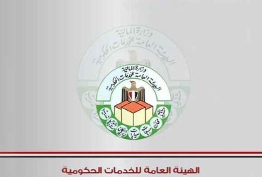 هيئة الخدمات الحكومية