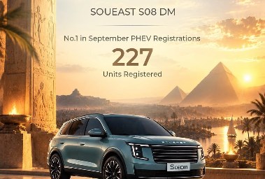سوإيست S08 DM 