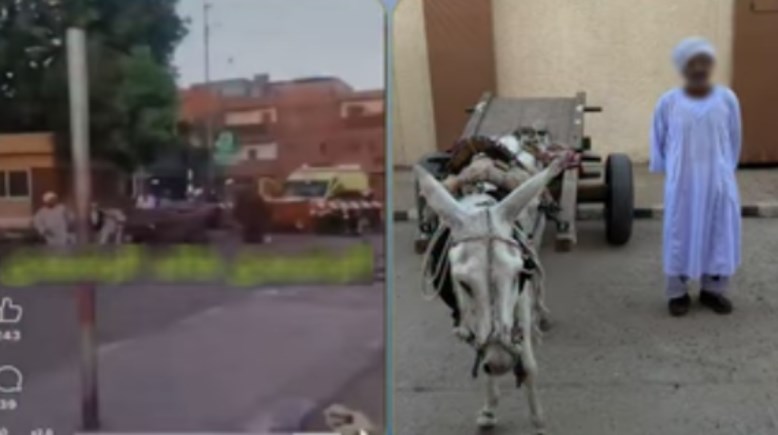 المتهم 