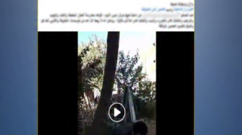 جانب من المشاجرة