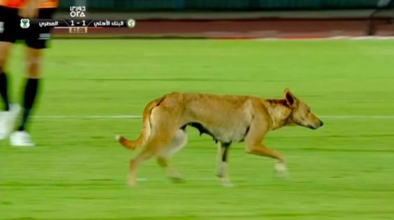 مباراة البنك الأهلي والمصري