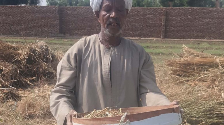 الغربال 