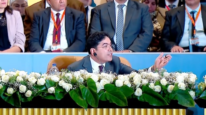 النائب ضياء الدين داود