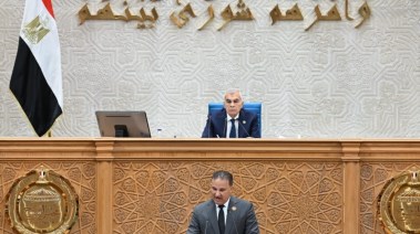  المستشار عصام الدين فريد، رئيس مجلس الشيوخ