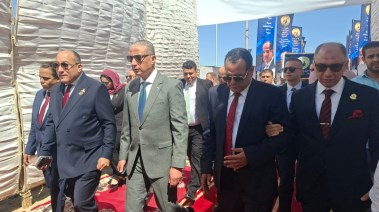 حزب حماة الوطن بالجيزة