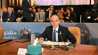 وزير الاستثمار والتجارة الخارجية، الدكتور محمد فريد