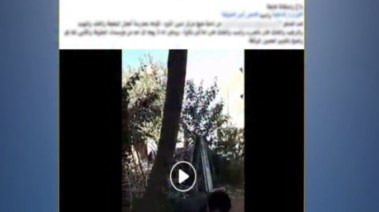 جانب من المشاجرة