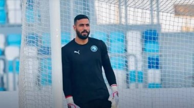 أحمد الشناوي 