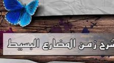 شرح زمن المضارع البسيط في اللغة الإنجليزية بالتفصيل