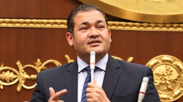 د.محمد عمارة