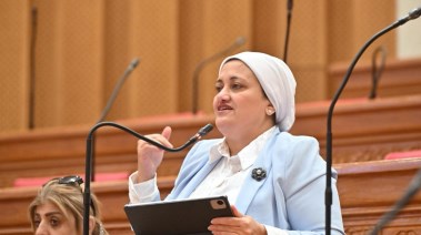 النائبة سناء السعيد