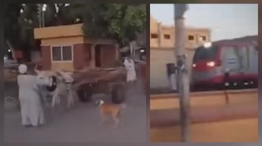 جزء من الفيديو المتداول بالواقعة 