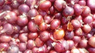 إرتفاع أسعار البصل